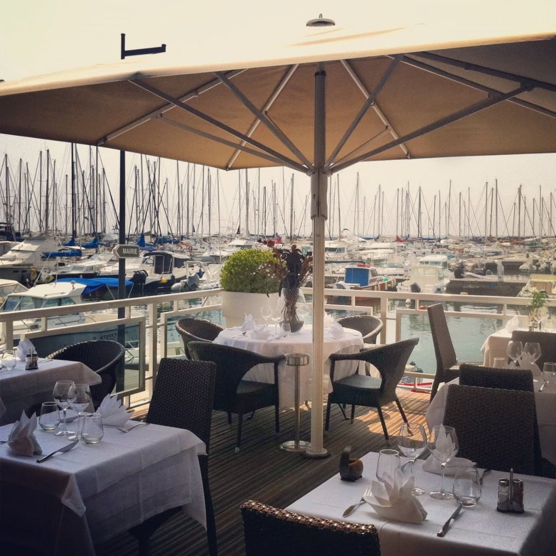 Le Cargo — Poissons et fruits de mer à Santa Maria Poggio — photo 2
