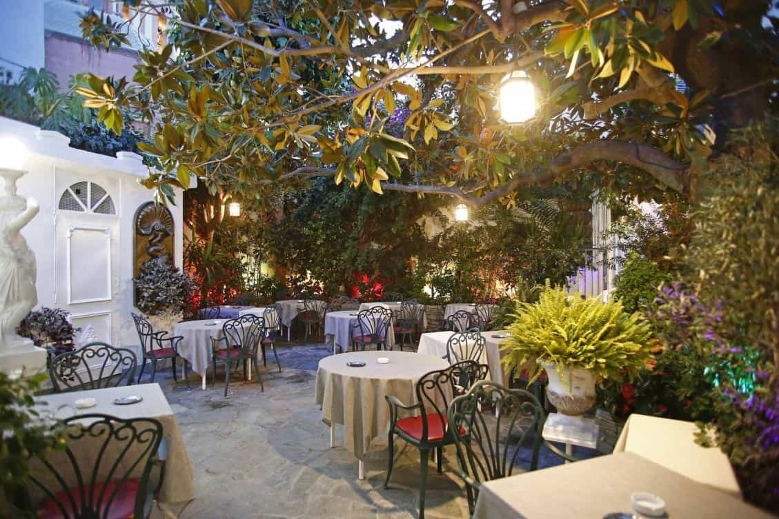 Le Magnolia — photo 3
