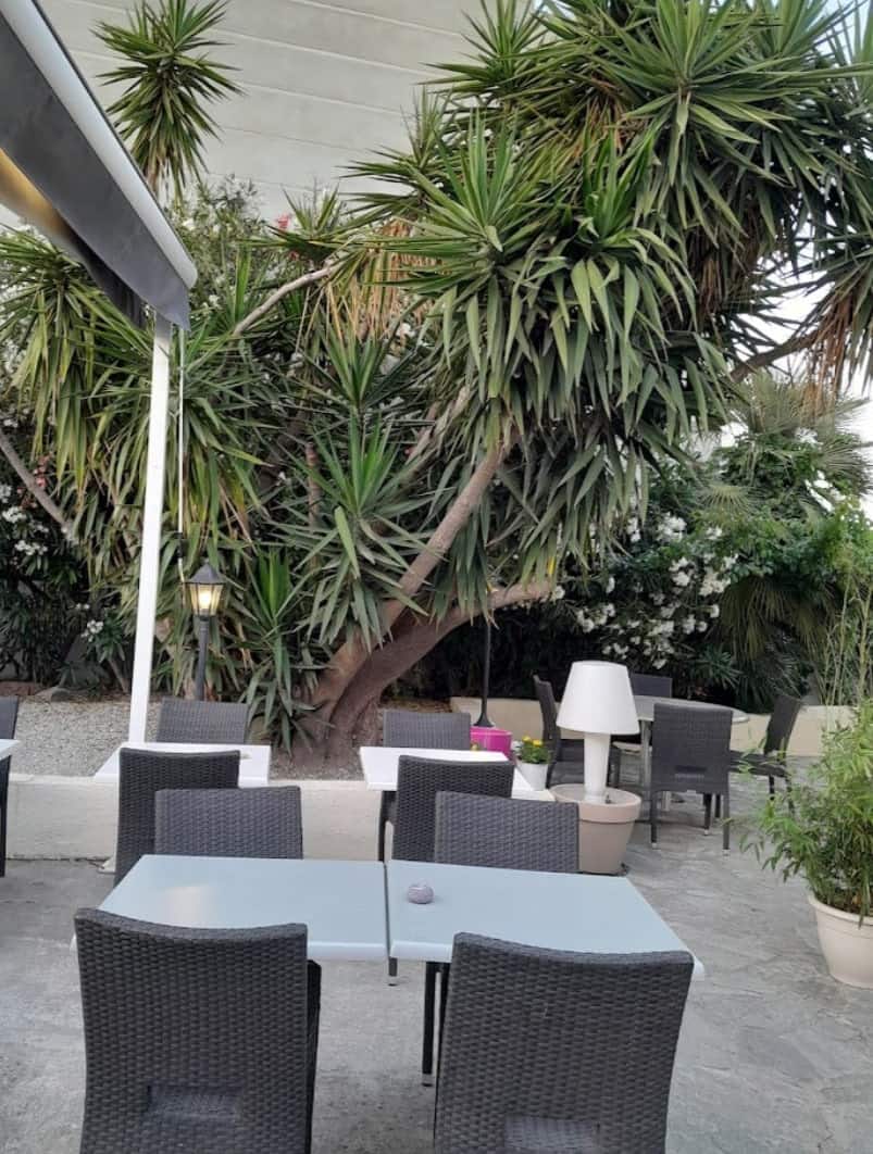 Le Patio — photo 3