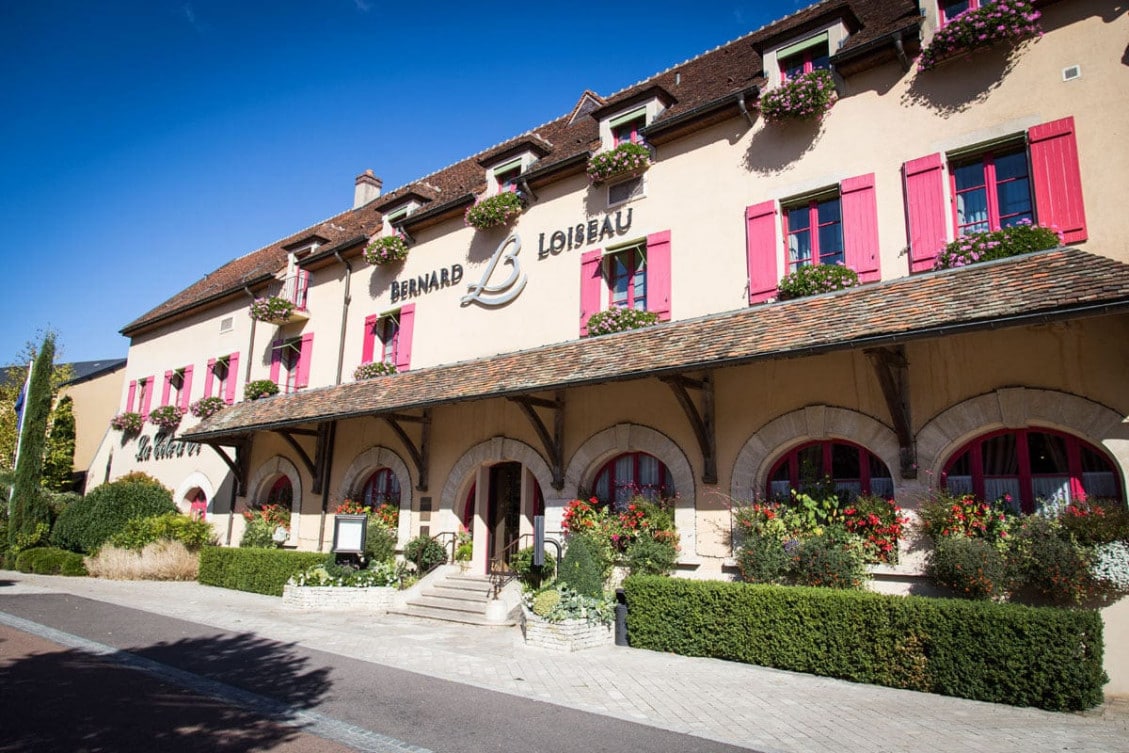 Loiseau des Sens — photo 2