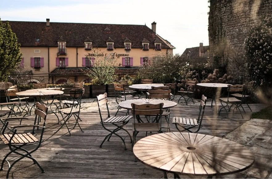Loiseau du Morvan — photo 2