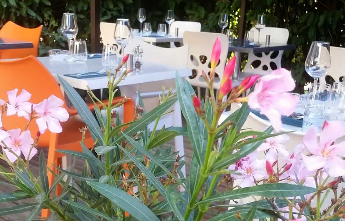 Chez louise — photo 3