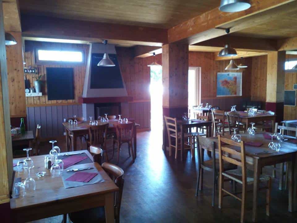 Le merle moqueur — photo 3