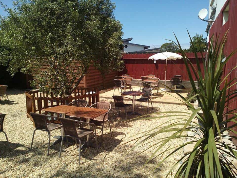 Le merle moqueur — photo 2