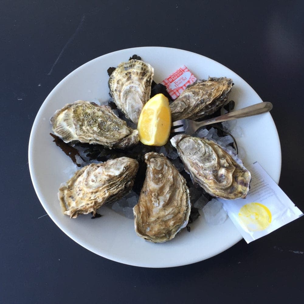 Audineau Alain — Poissons et fruits de mer à Frehel — photo 2