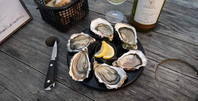 Le Bar à Huîtres du Sillon — Poissons et fruits de mer à Pleubian — photo 2