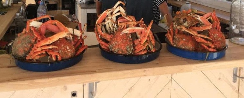 Les sardines à la plage — Poissons et fruits de mer à Lancieux — photo 2
