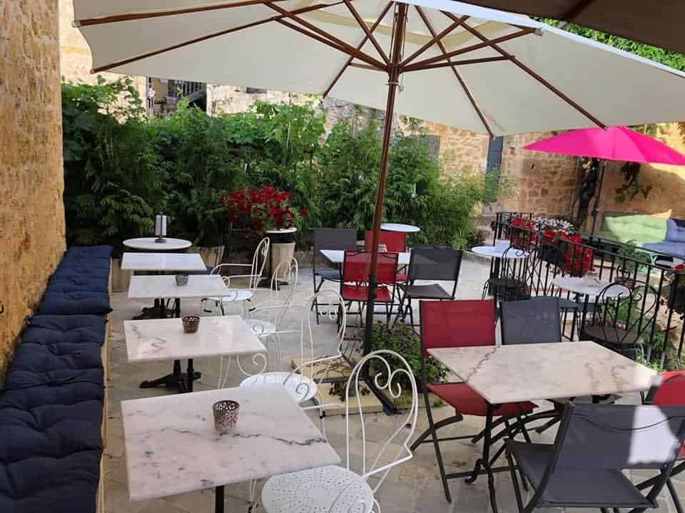 Hibiscus — photo 3