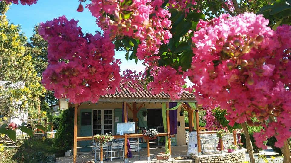 Le Bistrot du Camping — photo 2