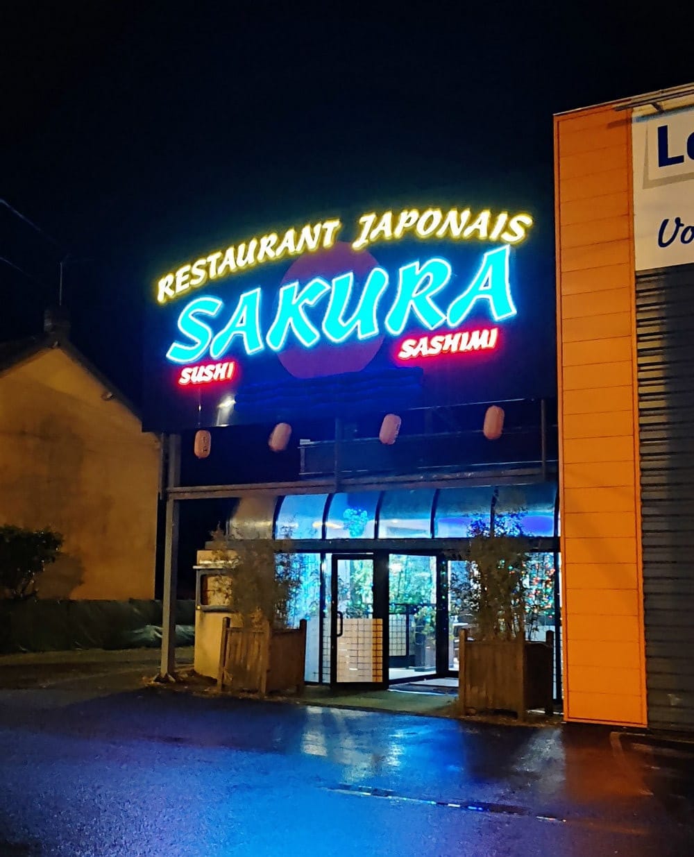 Sakura — photo 2