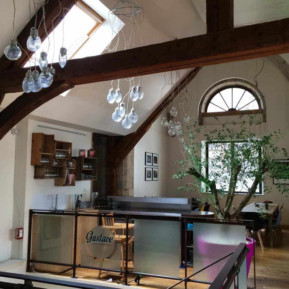 Gustave — photo 3
