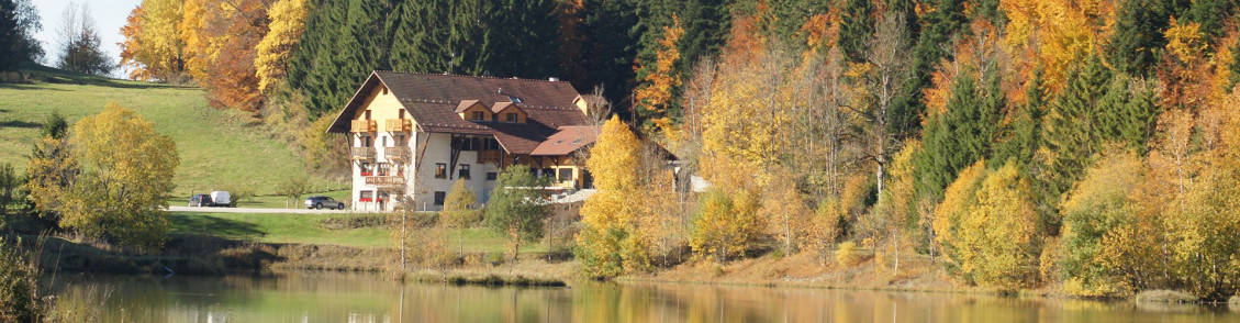 L'Etang du Moulin — photo 2