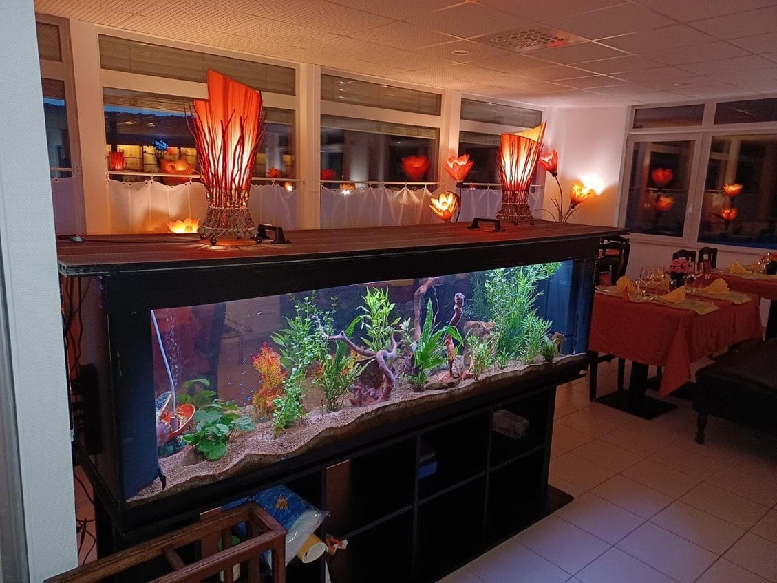 Le Bistrot des Auxons — photo 3