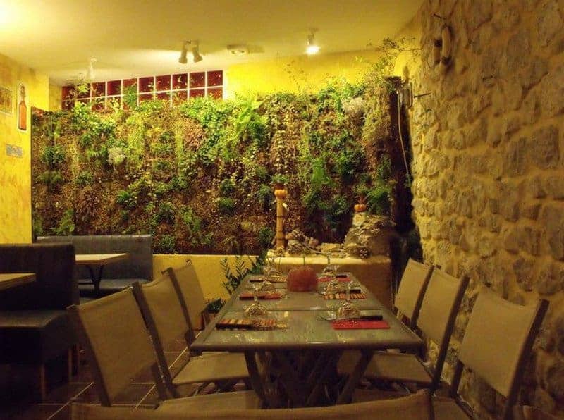 L'arbre a pizza — photo 3