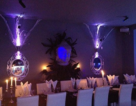 Show Biz — photo 3
