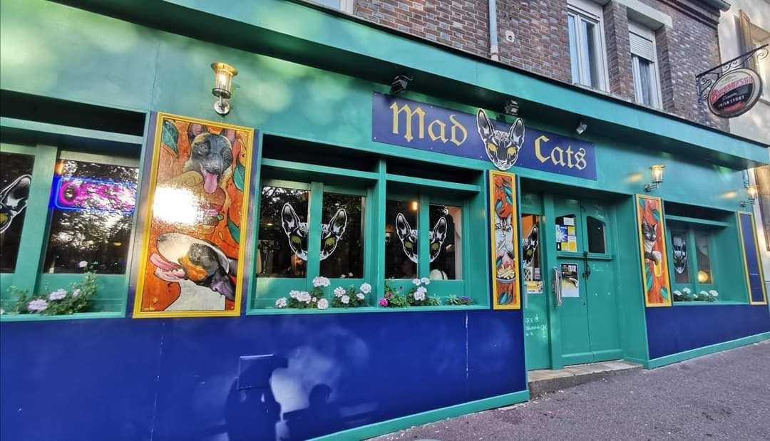 Mad cats — photo 2