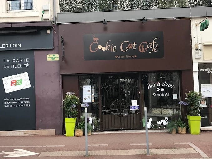 Cookie Cat Café — photo 2