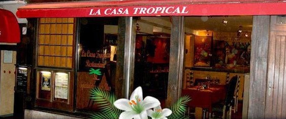 La Casa Tropical — photo 2