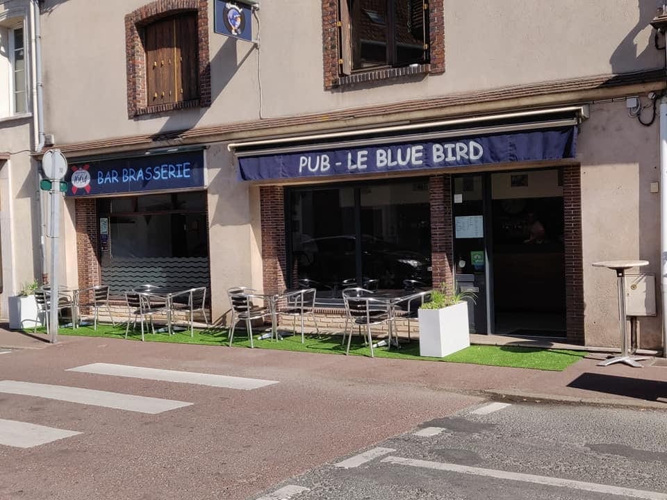 Bluebird — photo 2