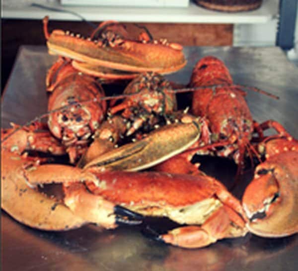 Les Viviers des Glénan — Poissons et fruits de mer à Fouesnant — photo 3