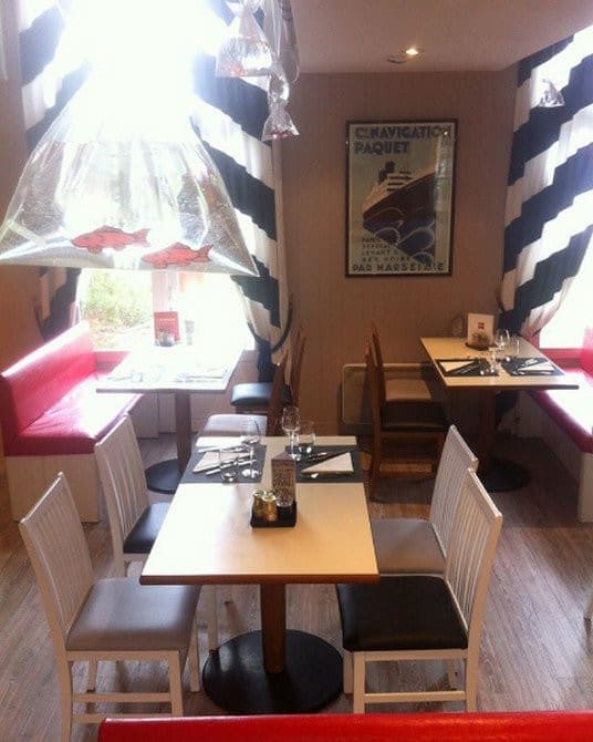 Ibis — photo 3