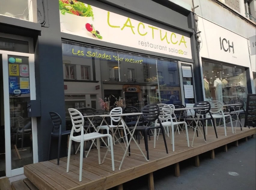 Lactuca — photo 2