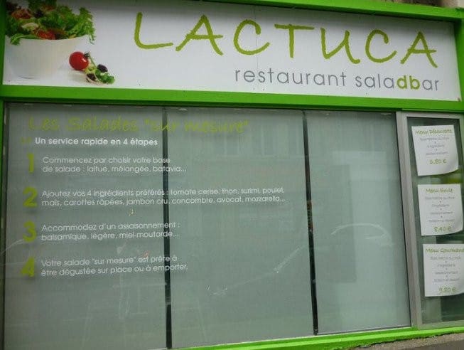 Lactuca — photo 2