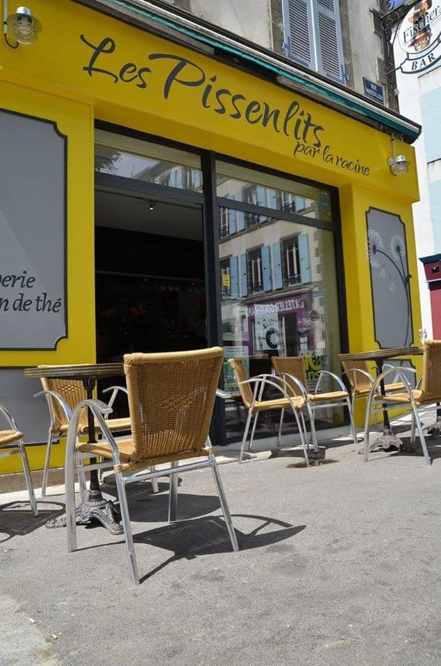 Les Pissenlits par la racine — photo 2