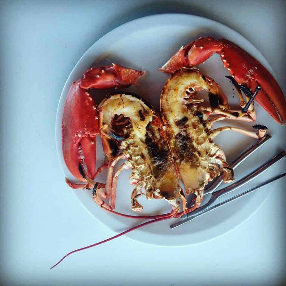 Les Viviers — Poissons et fruits de mer à Rosnoen — photo 2