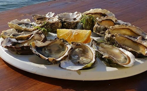 Ets Ven Les Huitres De L'ile Blanche — Poissons et fruits de mer à Carantec — photo 2