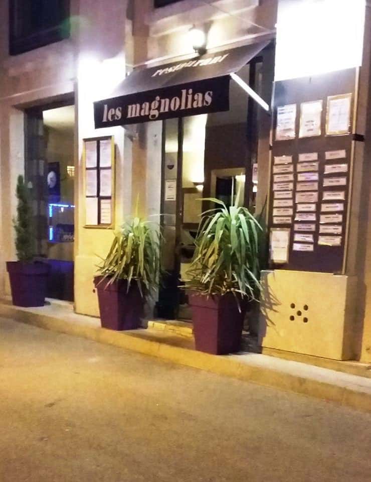 Les Magnolias — photo 2