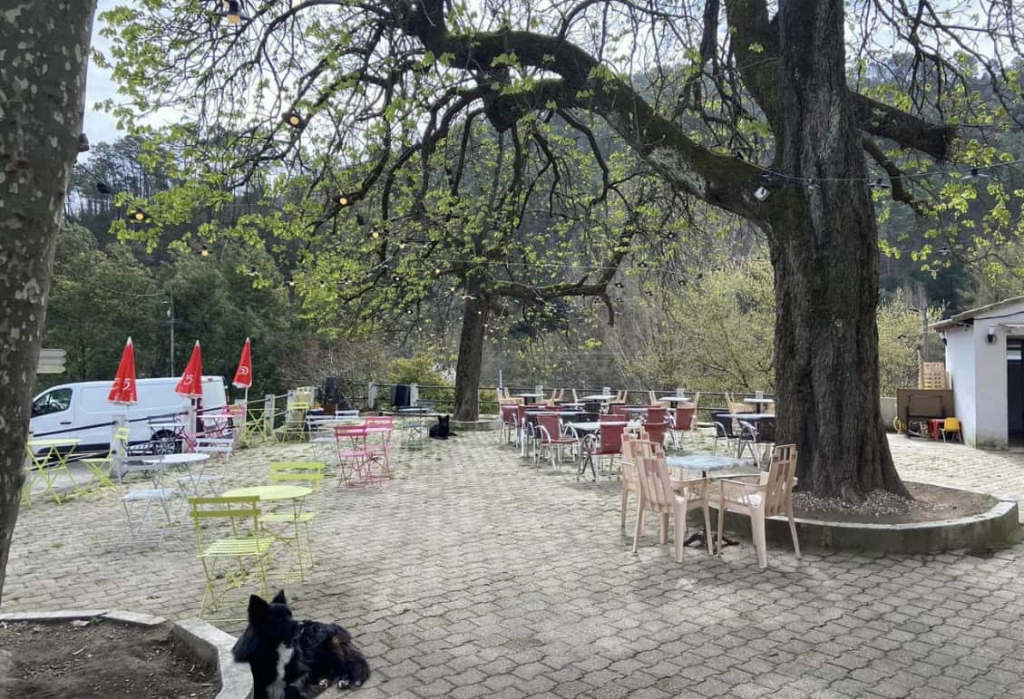 Les Délices d'Elloé — photo 3
