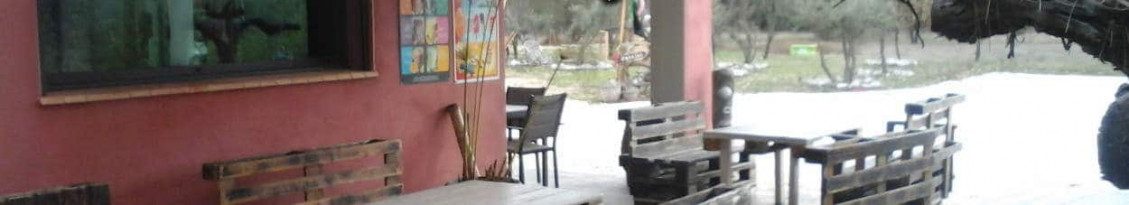 Le Bayou — photo 3