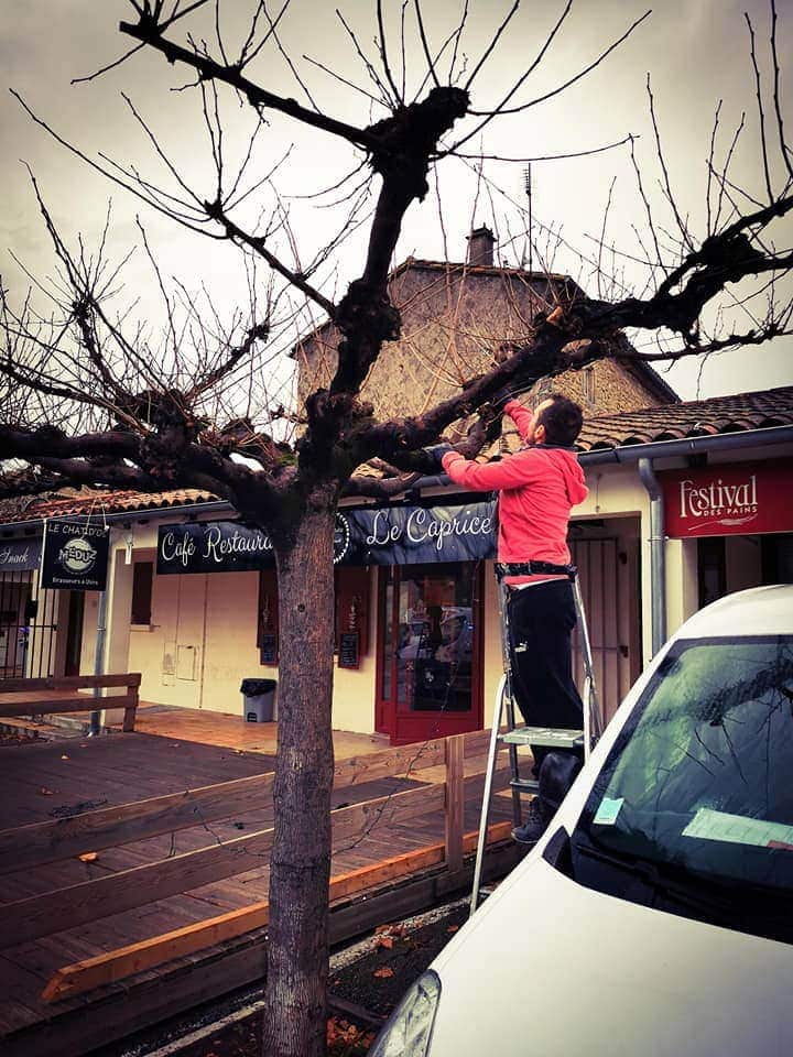 Le Caprice — photo 3