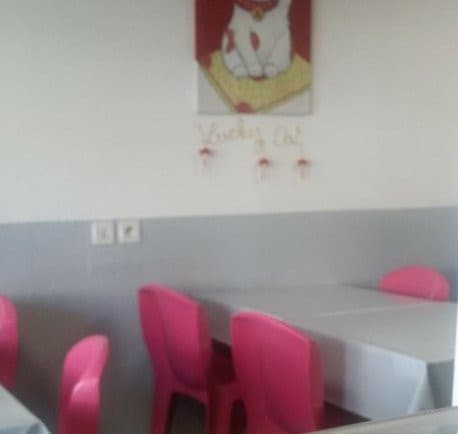 Lucky Cat — photo 3