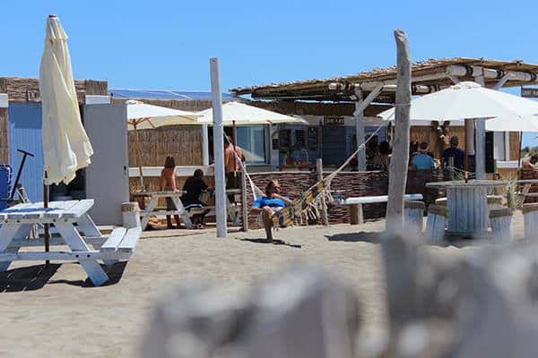 L'oyat-plage — photo 2