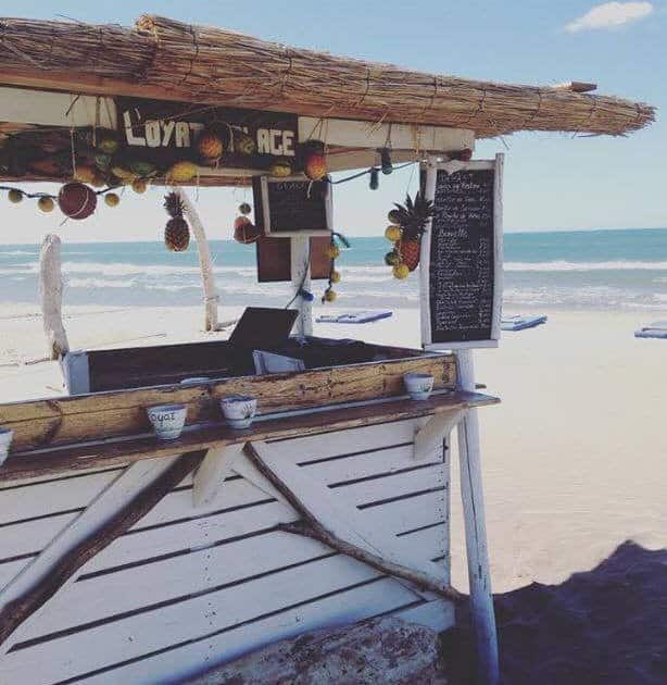 L'oyat-plage — photo 3