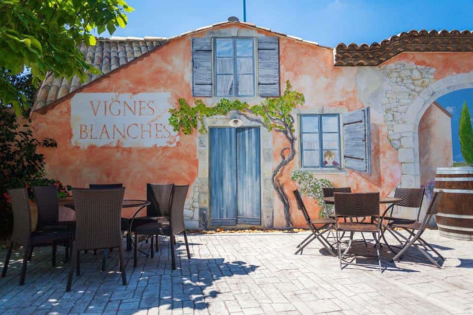 Les vignes blanches — photo 2