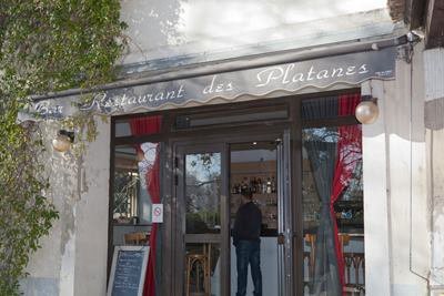 Les Platanes — photo 2