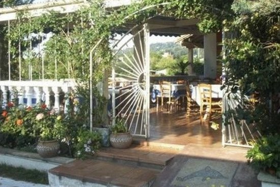 Le bouzouki — photo 2