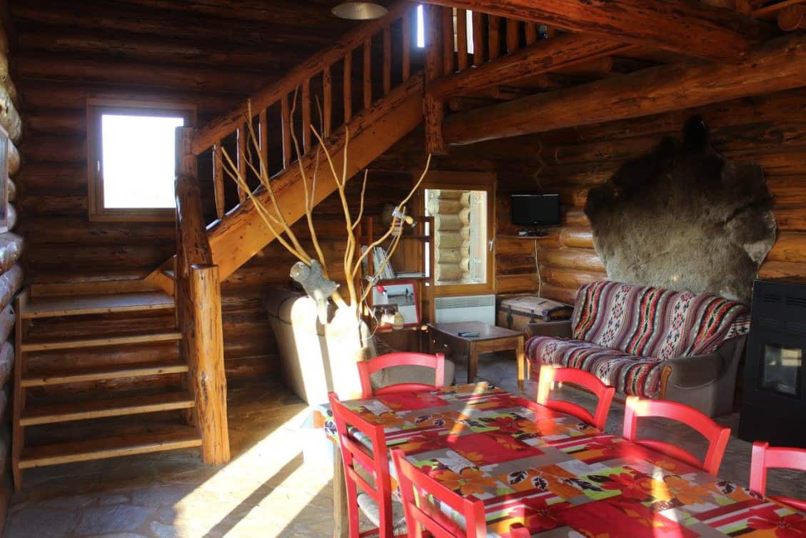 Randals bison — photo 3