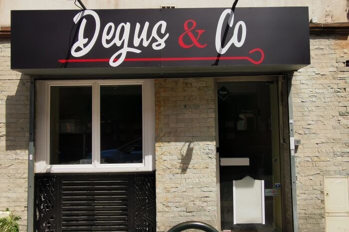 Degus&co — photo 2