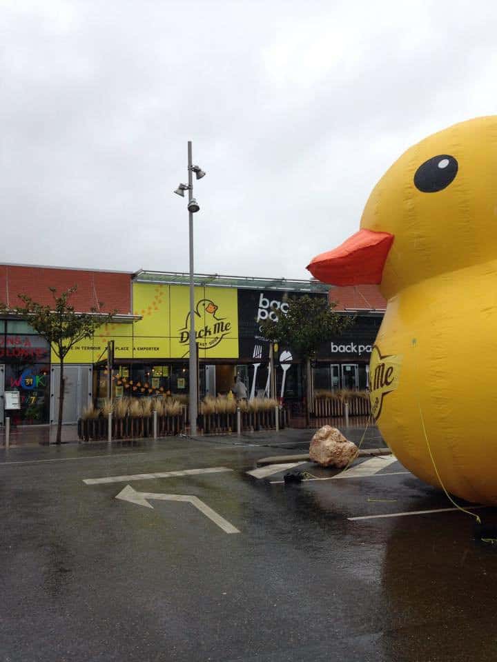Duck Me — photo 2