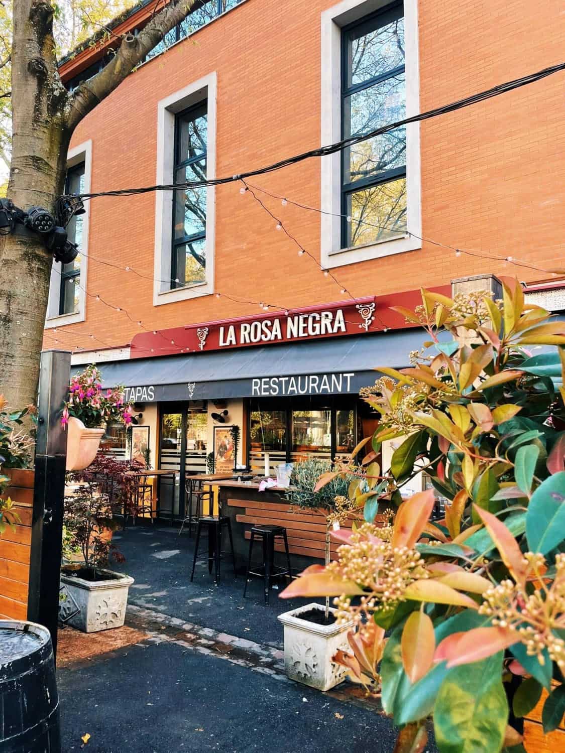 La Rosa Negra — photo 2