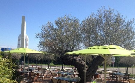 la villa des oliviers — Restaurant Italien à Toulouse — photo 2