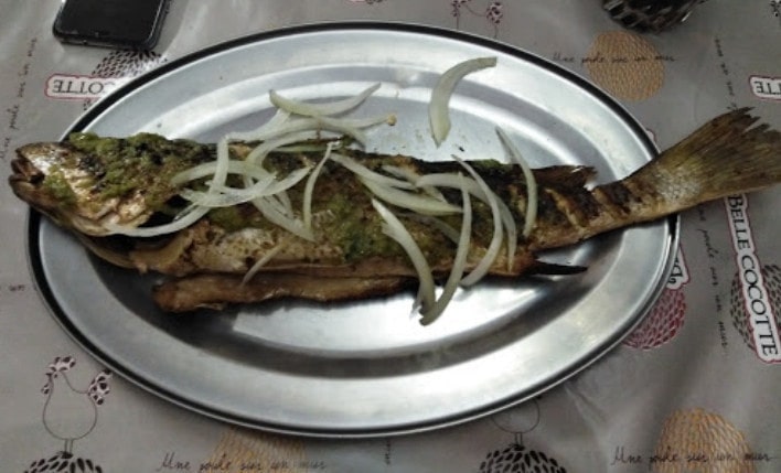 Le Tamezou — photo 2