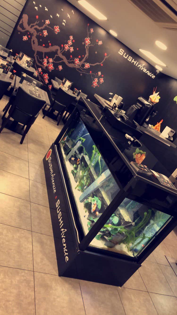 Sushi Avenue — Sushi et Japonais à Toulouse — photo 2