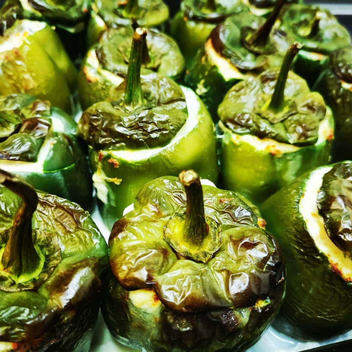 Pickles — photo 7