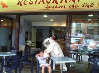 Arancopec — photo 2