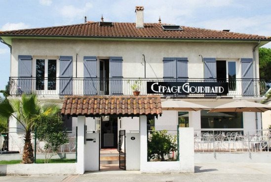 Cépage gourmand — photo 2